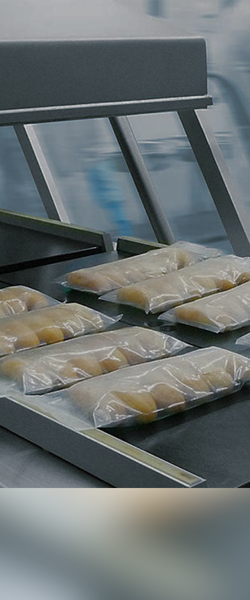 Vaccum Packing Machines