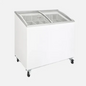 Frozen Food & Ice Cream Freezer(D300DFSG-AC)
