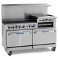 Pro Series Range – 60″ Wide(IR-6-RG24)