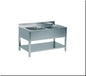 Double Bowl Sink