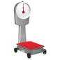 Trooz Line 1000kg Large Dial Mechanical Platform Scale