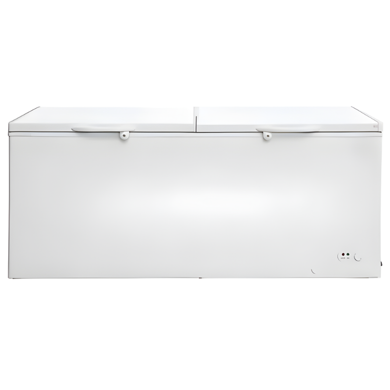 Trooz Line 445L Double Door Chest Freezer Commercial Deep Freezer