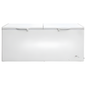 Trooz Line 541L Double Door Chest Freezer Commercial Deep Freezer